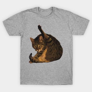 tabby cat funny meme cleaning his butt T-Shirt